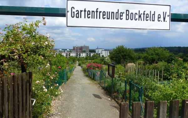 Hildesheim: Kleingartenverein Bockfeld