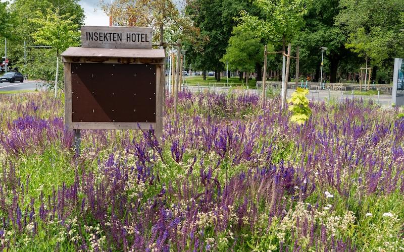 Insektenhotel auf Wildblumenwiese Auf einer Verkehrsinsel befindet sich eine Wildblumenwiese in deren Mitte ein Insektenhotel steht.